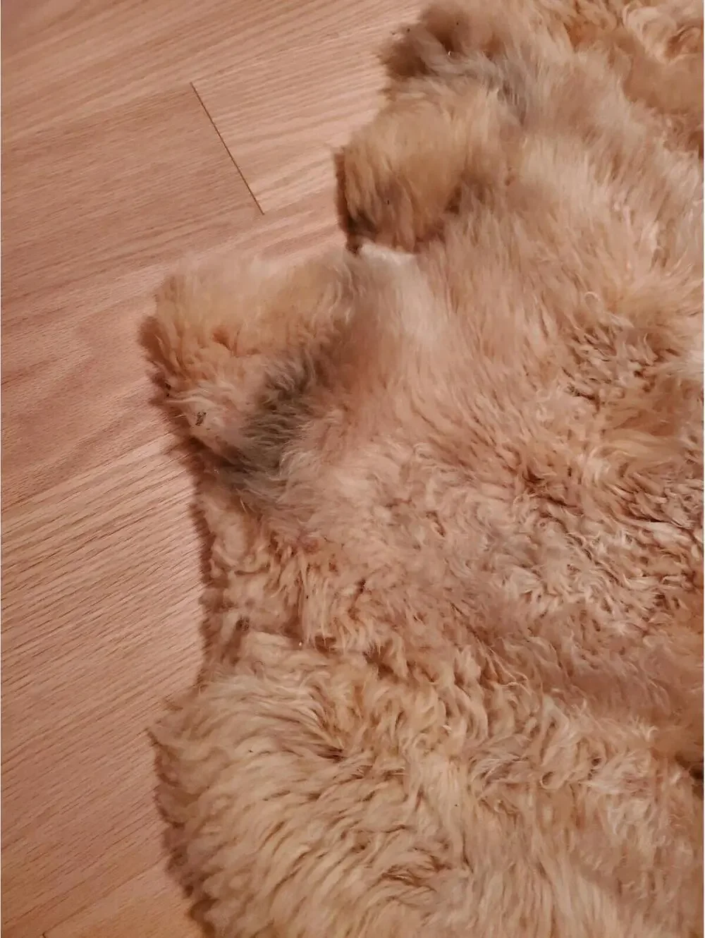 Eagle Wools Natural Sheepskin Rug / Hide Throw